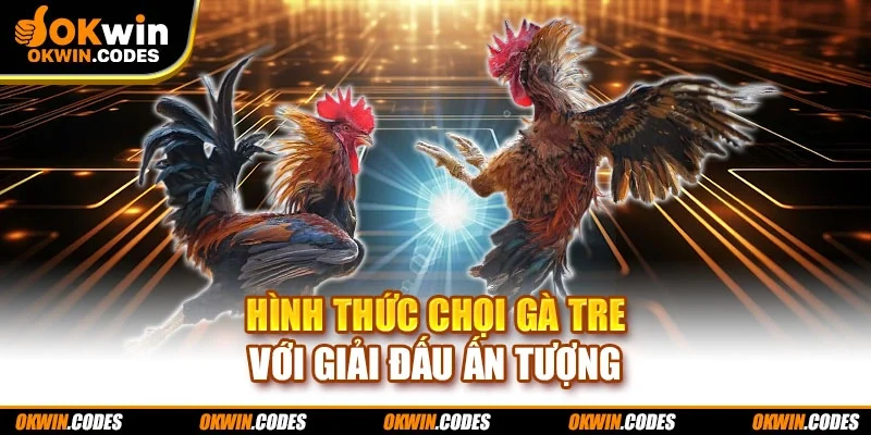 Hình thức chọi gà tre với giải đấu ấn tượng