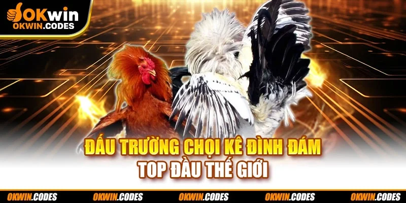 Đấu trường chọi kê đình đám top đầu thế giới