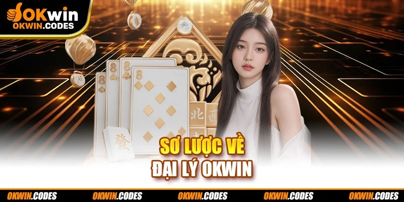 Sơ lược về đại lý Okwin
